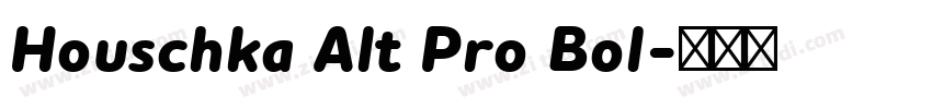 Houschka Alt Pro Bol字体转换